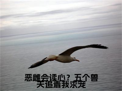 恶雌会读心？五个兽夫追着我求宠小说完本章节前文+全篇阅读（阮阮）连载中