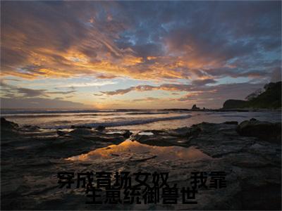 前传图南续集:全文+番外穿成育场女奴，我靠生崽统御兽世：结局+番外新上热文