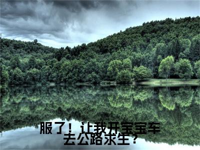 路悠悠完整在线阅读（服了！让我开宝宝车去公路求生？）前传列表