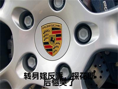 转身嫁反派，探花郎后悔哭了萧扶樱,祁云琰,郎君小说无删减阅读清爽版（萧扶樱,祁云琰,郎君）外篇+续集