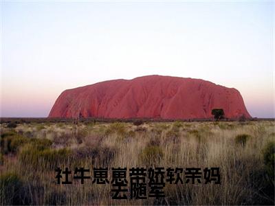 姜宁宁霍东临小说(社牛崽崽带娇软亲妈去随军)全文+后续（姜宁宁霍东临）无套路阅读
