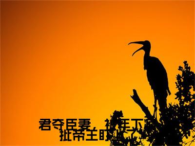 沈晚意,萧彻,霍庭钧(君夺臣妻，被年下疯批帝王盯上了)全本完整阅读最新章节 沈晚意,萧彻,霍庭钧：结局+番外评价五颗星