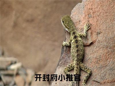 唐煜赵元俨全文全文免费阅读_开封府小推官全文最新章节列表笔趣阁（唐煜赵元俨）