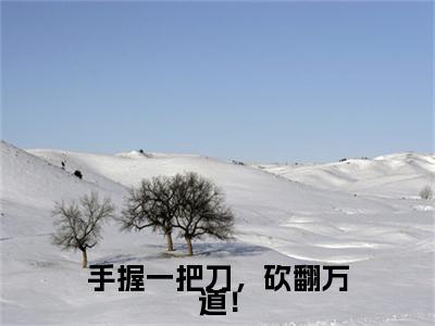 手握一把刀，砍翻万道！附加完整在线阅读（秦昭）最近更新列表