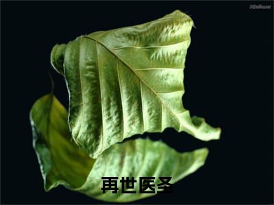 江逸,沈甜小说全文免费阅读（再世医圣）全文免费阅读无弹窗_江逸,沈甜小说全文免费阅读_笔趣阁
