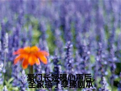热文推荐豪门长嫂曝心声后，全家撕了孽缘剧本小说（颜筝司樾霆）前传列表