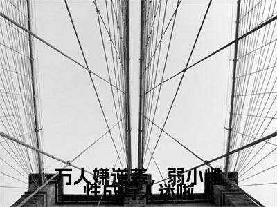 万人嫌逆袭，弱小雌性成万人迷啦：结局+番外新上热文（玄夜,苏晴是作者海鸥小说《万人嫌逆袭，弱小雌性成万人迷啦》里面的主人公，这部作品共计701860字，344章节，）全篇免费版在线+无障碍结局