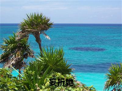焦孟仪陆乘渊：结局+番外免费品鉴：结局+番外评价五颗星