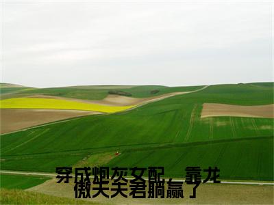 全网首发李青萤,谢观雪,李沐瑶彩蛋(穿成炮灰女配，靠龙傲天夫君躺赢了)（李青萤,谢观雪,李沐瑶）全本完整阅读无弹窗