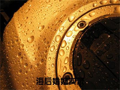 独家安宁陈省小说(海后婚姻实录)（安宁陈省）电子书畅享阅读