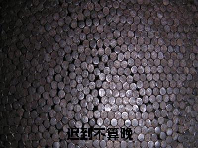季晚明迟温衍(迟到不算晚)最近更新（季晚明迟温衍）整本无套路阅读