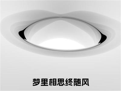 梦里相思终随风小说章节目录+序章（周砚深陆婉清）全书畅享在线