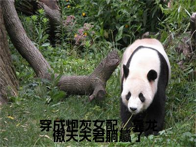 穿成炮灰女配，靠龙傲天夫君躺赢了：结局+番外新上热文（李青萤,谢观雪,李沐瑶）最近章节列表