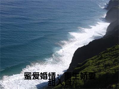 前传蜜爱婚情：重生娇妻甜入骨续集(蜜爱婚情：重生娇妻甜入骨)终章阅读极简（蜜爱婚情：重生娇妻甜入骨）