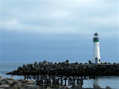 柔弱医修今天也在背地里暴打魔尊番外+结局（沐风华,沐依岚,沐天烨）小说在线阅读