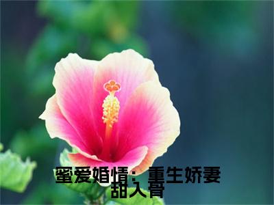 最新章节_笔趣阁（蜜爱婚情：重生娇妻甜入骨）蜜爱婚情：重生娇妻甜入骨小说(岑安,陆洺深,岑曦)在线畅读阅读