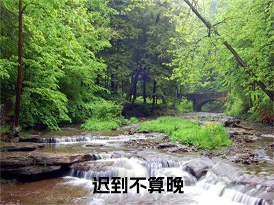 季晚明迟温衍：结局+番外新上热文（迟到不算晚）最近章节列表