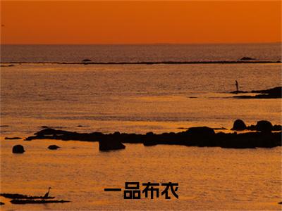 前传_笔趣阁（一品布衣）一品布衣小说(徐牧,姜采薇)章节在线阅读