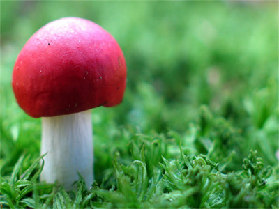 魏璟川祝南弦小说哪里能看-(魏璟川祝南弦)最新章节在线阅读
